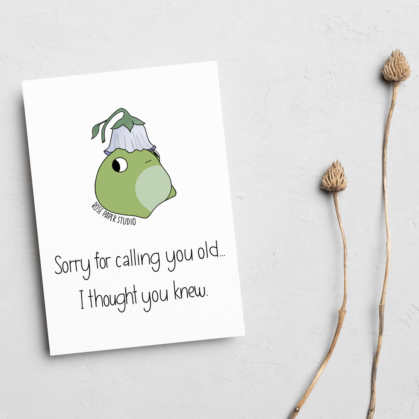 Sorry For Calling You Old...I Thought You Knew | Funny Birthday Card | Awkward Meme Frog Card | Hand Drawn Modern Calligraphy Card