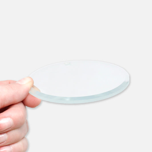 The Horrors Persist But So Do I | Edgar the Crow | Clear Glass Christmas Ornament