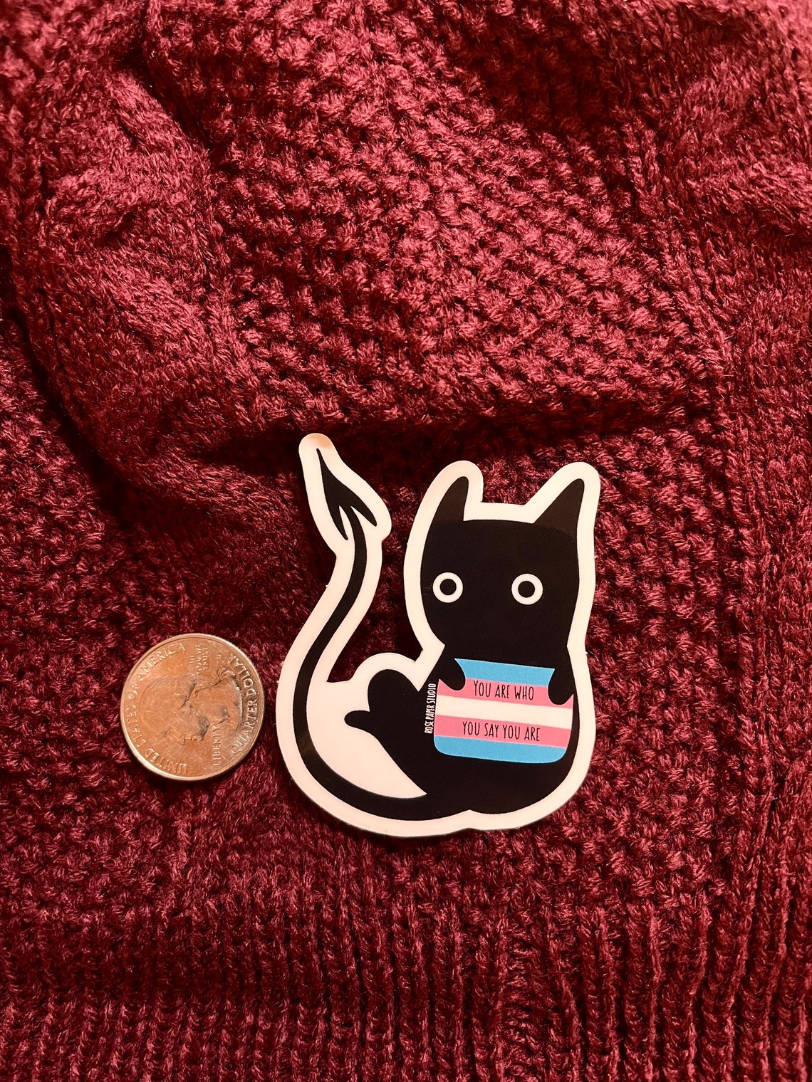 Bartholomeow The Trans Pride Dragon, Cat, Pokemon, Tortoro Hybrid | Weatherproof Die Cut Sticker