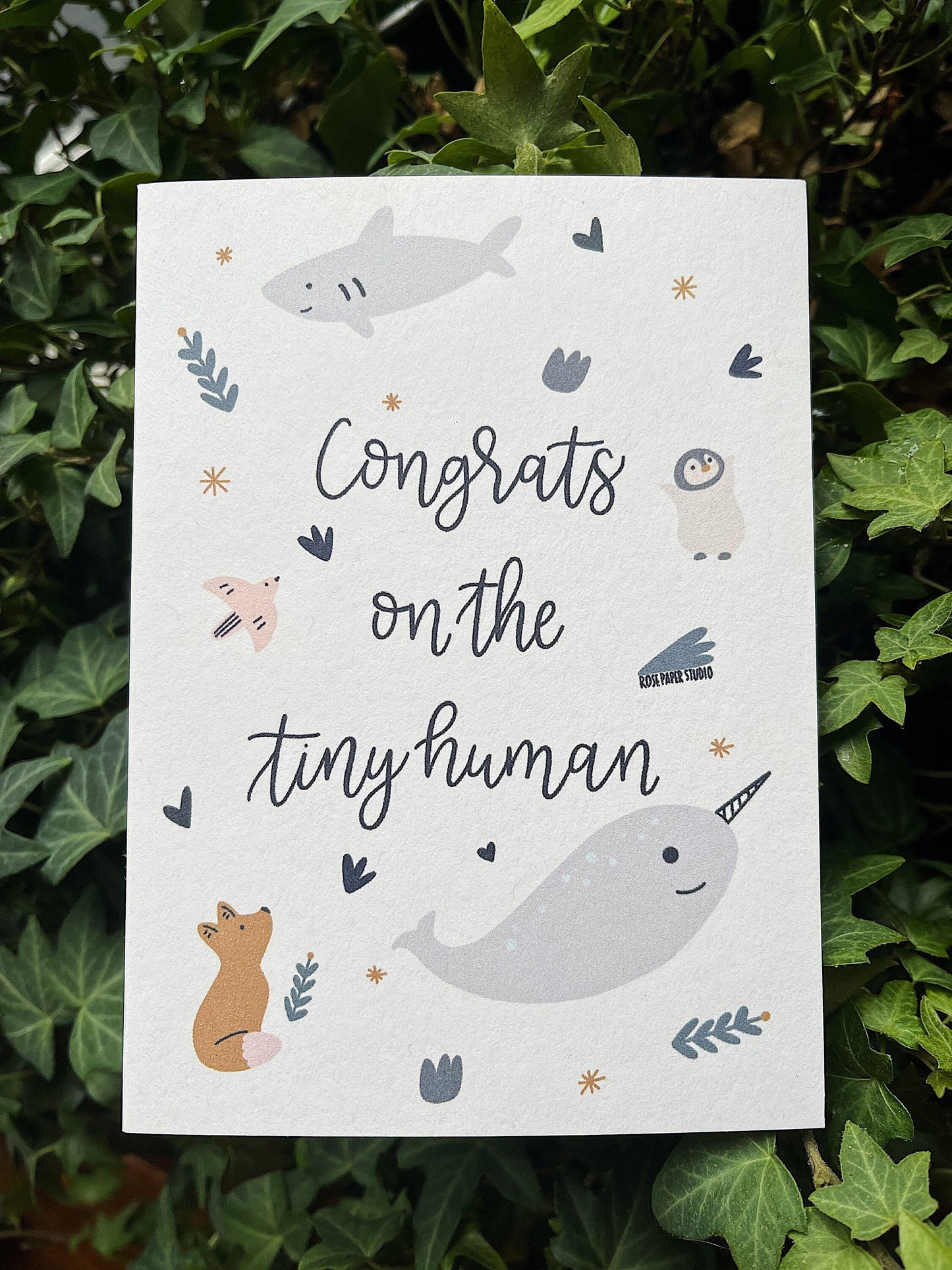 Congratulations On The Tiny Human | Blank Calligraphy Greeting Card